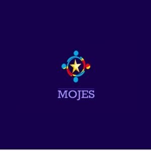 Mise en réseau , Accompagnement en formalisation et financement des jeunes entrepreneurs, Organisation des Formations