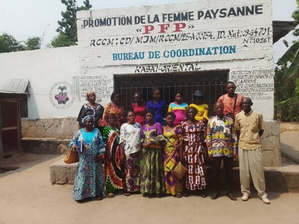 Appui organisationnel et institutionnel des PME et OSC – Image 2