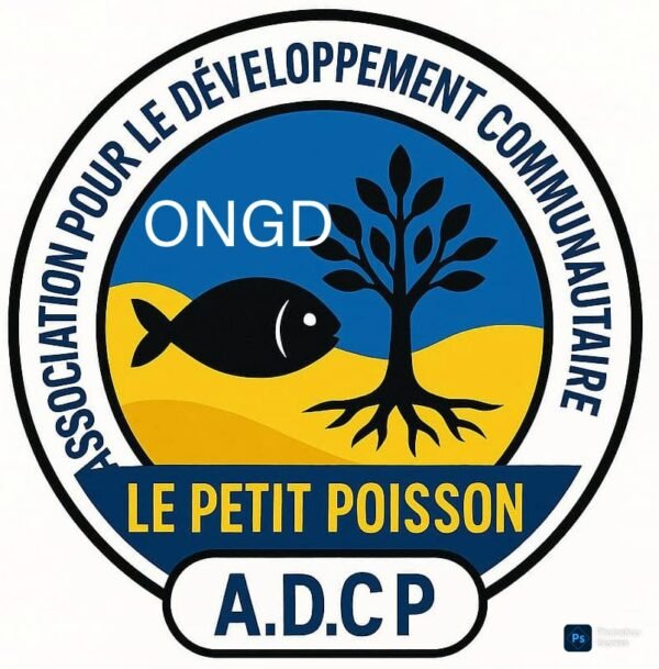 Conception, Élaboration, mis en oeuvre des projets de développement