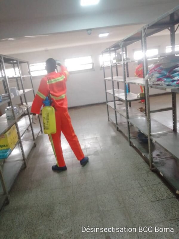 Désinsectisation Service – Image 2