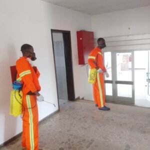 Désinsectisation Service