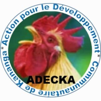 La technologie numérique et digital