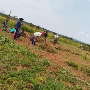 Accompagnement entrepreneurial & business