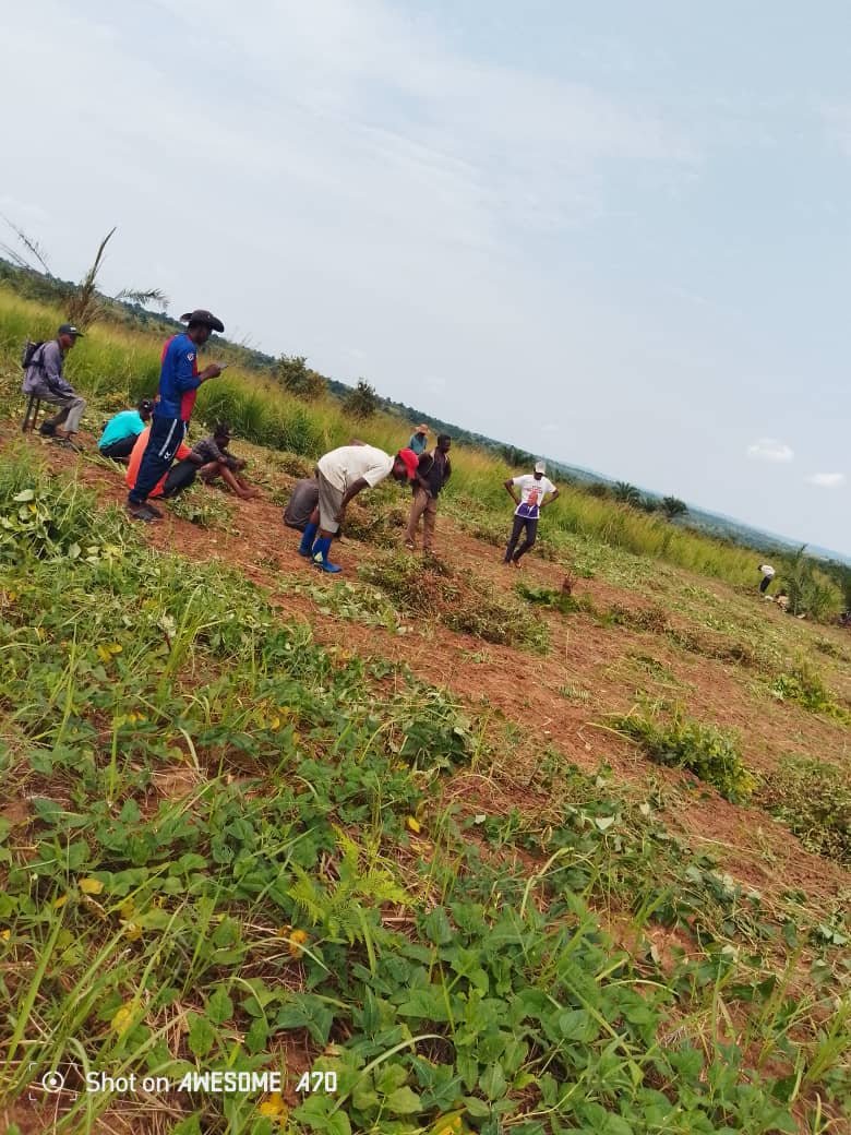 Accompagnement entrepreneurial & business