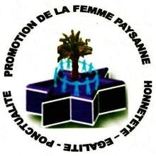 Photo de profil dePFP